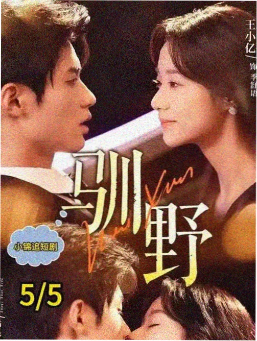铁轨上的城市 纪录片推荐